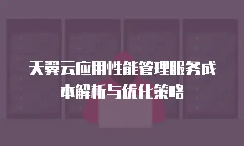 天翼云应用性能管理服务成本解析与优化策略