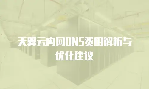 天翼云内网DNS费用解析与优化建议