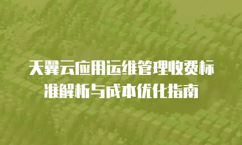 天翼云应用运维管理收费标准解析与成本优化指南