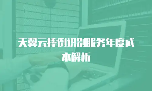 天翼云摔倒识别服务年度成本解析