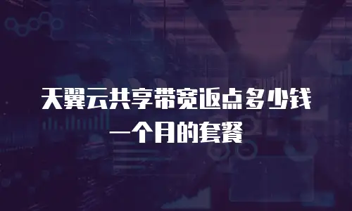 天翼云共享带宽返点多少钱一个月的套餐