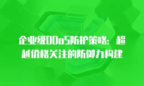 企业级DDoS防护策略：超越价格关注的防御力构建