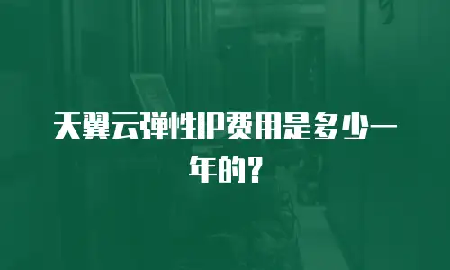 天翼云弹性IP费用是多少一年的？