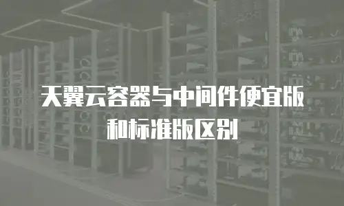 天翼云容器与中间件便宜版和标准版区别