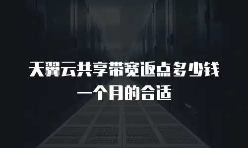 天翼云共享带宽返点多少钱一个月的合适