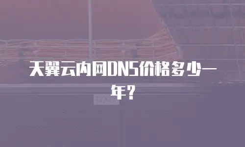 天翼云内网DNS价格多少一年？