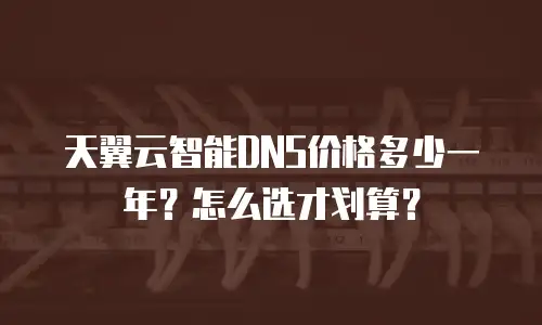 天翼云智能DNS价格多少一年？怎么选才划算？