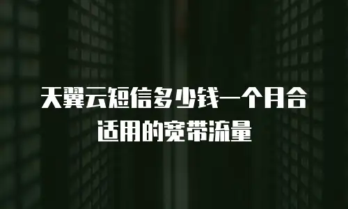 天翼云短信多少钱一个月合适用的宽带流量