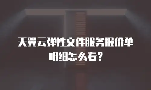 天翼云弹性文件服务报价单明细怎么看？