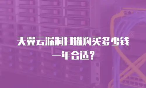 天翼云漏洞扫描购买多少钱一年合适？