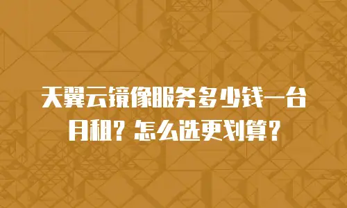 天翼云镜像服务多少钱一台月租？怎么选更划算？