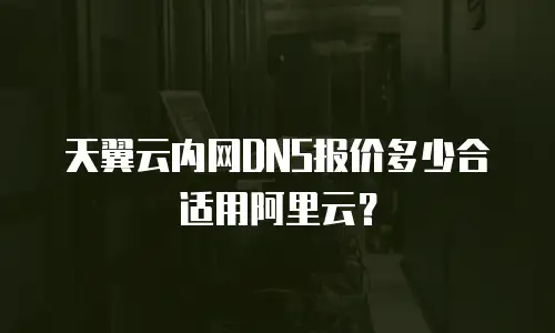 天翼云内网DNS报价多少合适用阿里云？