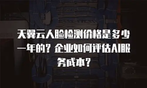 天翼云人脸检测价格是多少一年的？企业如何评估AI服务成本？
