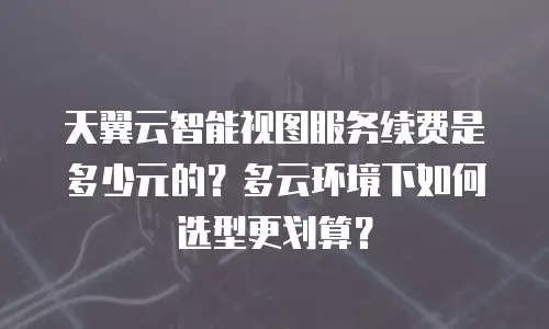 天翼云智能视图服务续费是多少元的？多云环境下如何选型更划算？