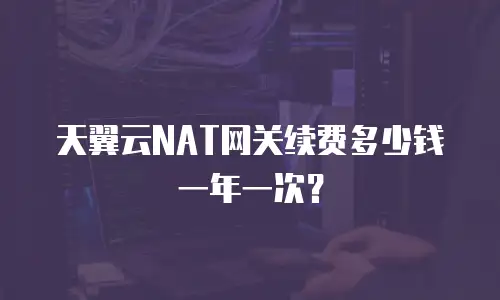 天翼云NAT网关续费多少钱一年一次？