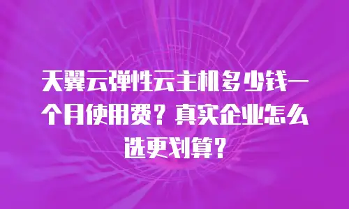 天翼云弹性云主机多少钱一个月使用费？真实企业怎么选更划算？