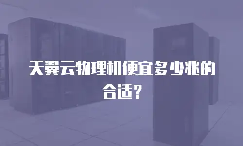 天翼云物理机便宜多少兆的合适？