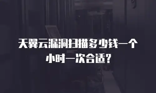 天翼云漏洞扫描多少钱一个小时一次合适？