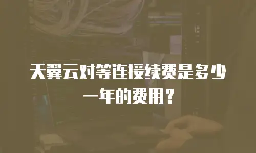 天翼云对等连接续费是多少一年的费用？