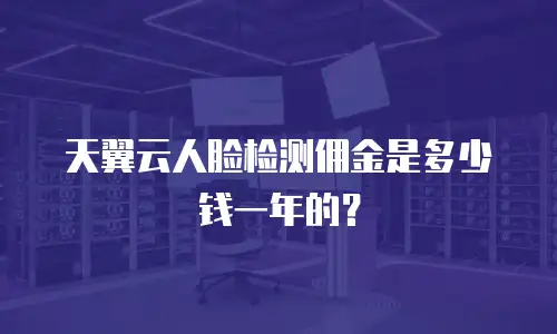 天翼云人脸检测佣金是多少钱一年的？
