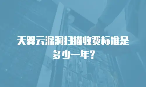 天翼云漏洞扫描收费标准是多少一年？
