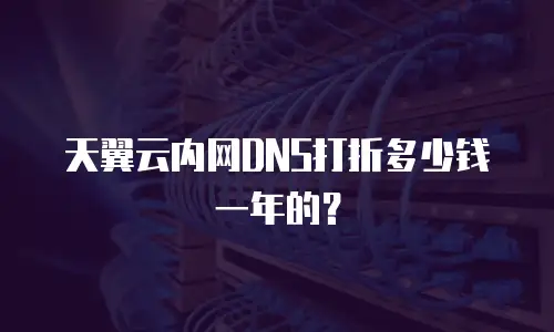 天翼云内网DNS打折多少钱一年的？