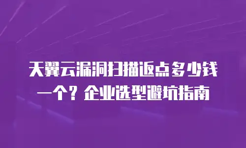 天翼云漏洞扫描返点多少钱一个？企业选型避坑指南