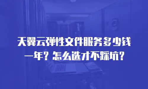 天翼云弹性文件服务多少钱一年？怎么选才不踩坑？