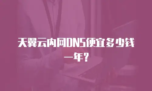 天翼云内网DNS便宜多少钱一年？