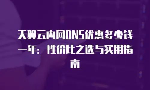 天翼云内网DNS优惠多少钱一年：性价比之选与实用指南