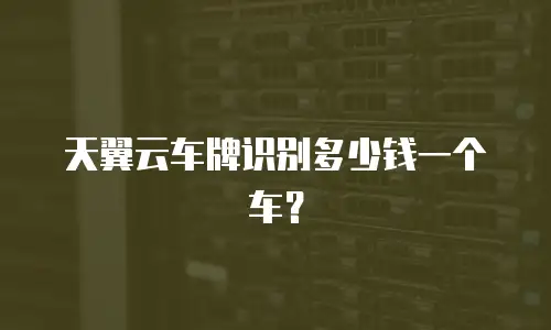 天翼云车牌识别多少钱一个车？