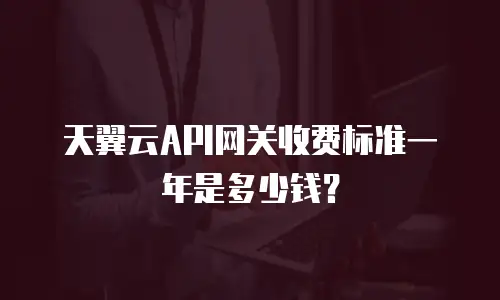 天翼云API网关收费标准一年是多少钱？