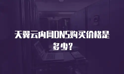 天翼云内网DNS购买价格是多少？