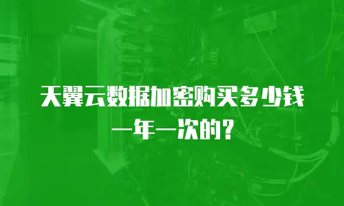 天翼云数据加密购买多少钱一年一次的？