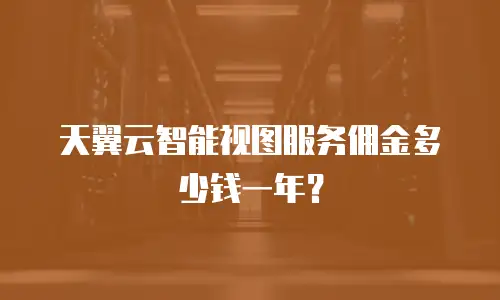 天翼云智能视图服务佣金多少钱一年？