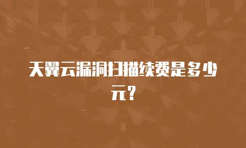 天翼云漏洞扫描续费是多少元？