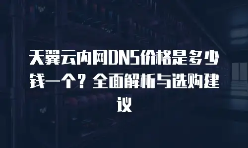 天翼云内网DNS价格是多少钱一个？全面解析与选购建议