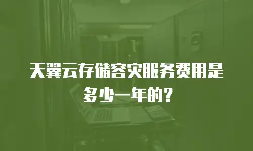天翼云存储容灾服务费用是多少一年的？