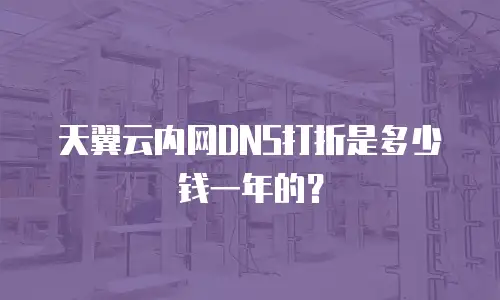天翼云内网DNS打折是多少钱一年的？