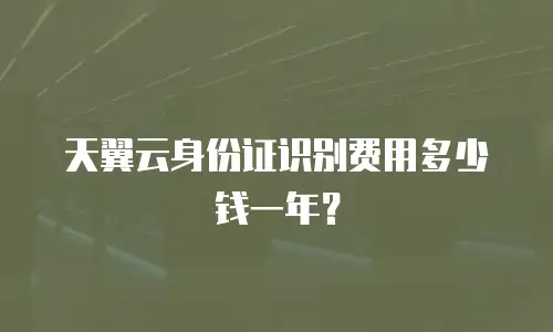 天翼云身份证识别费用多少钱一年？