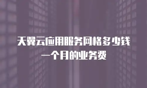 天翼云应用服务网格多少钱一个月的业务费
