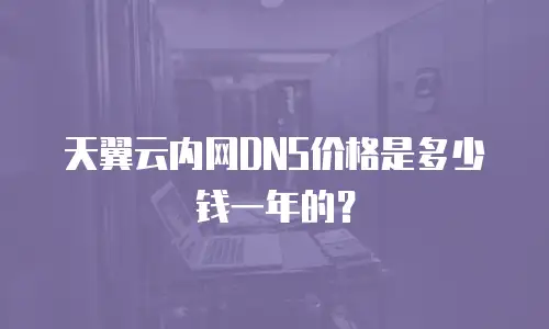 天翼云内网DNS价格是多少钱一年的？