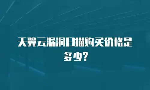 天翼云漏洞扫描购买价格是多少？