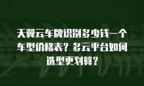 天翼云车牌识别多少钱一个车型价格表？多云平台如何选型更划算？