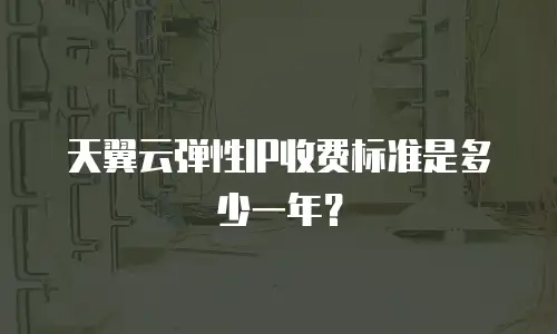 天翼云弹性IP收费标准是多少一年？