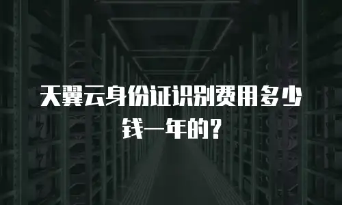 天翼云身份证识别费用多少钱一年的？