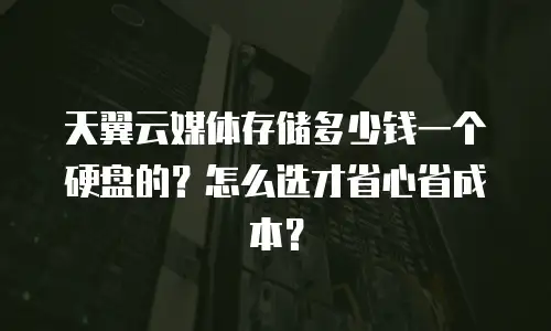 天翼云媒体存储多少钱一个硬盘的？怎么选才省心省成本？