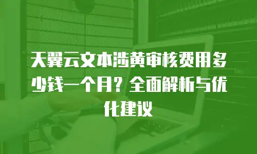 天翼云文本涉黄审核费用多少钱一个月？全面解析与优化建议