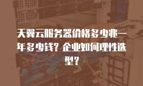 天翼云服务器价格多少兆一年多少钱？企业如何理性选型？