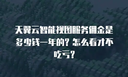 天翼云智能视图服务佣金是多少钱一年的？怎么看才不吃亏？